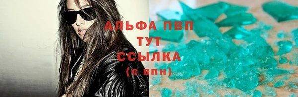 крисы Белокуриха