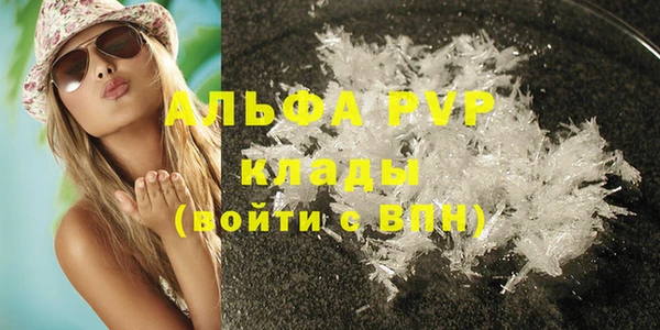 крисы Белокуриха