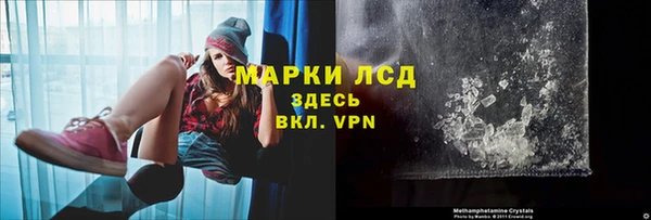 гашик Богданович