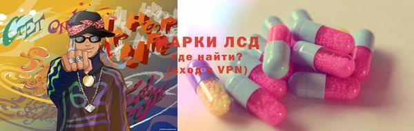 гашик Богданович