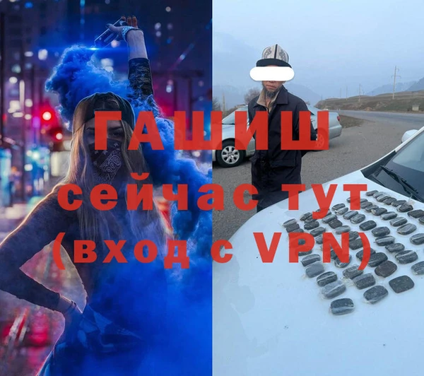 гашик Богданович