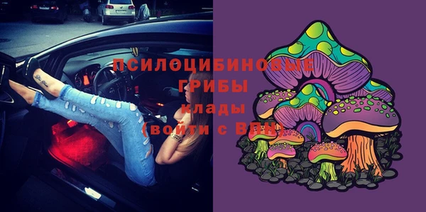 кокс Данков