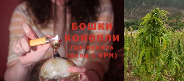 трава Балахна