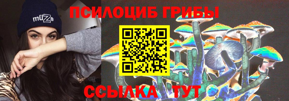 Галлюциногенные грибы GOLDEN TEACHER  наркошоп  Кушва  Вход с VPN 